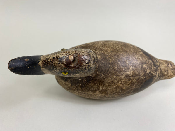 Evans Factory Bluebill Hen (#8291)