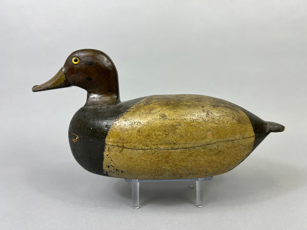 Unknown Illinois River Redhead, Circa 1920's (#3596)