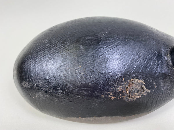 Michigan Coot Detroit River, Circa 1930's (#8302)