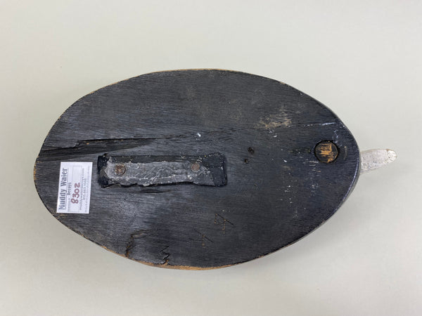 Michigan Coot Detroit River, Circa 1930's (#8302)