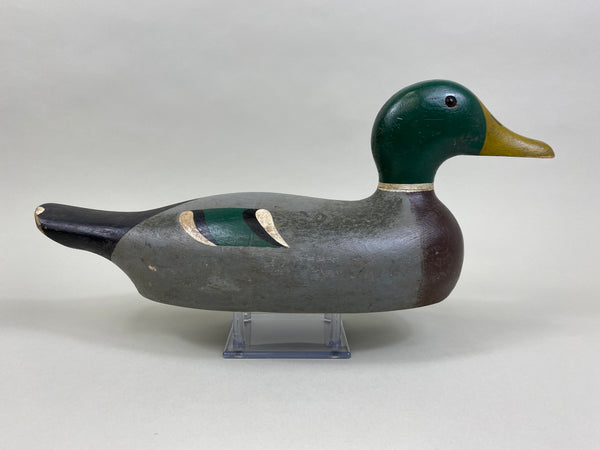 Lawrence Kolosso Mallard Drake (#8325)