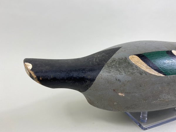 Lawrence Kolosso Mallard Drake (#8325)