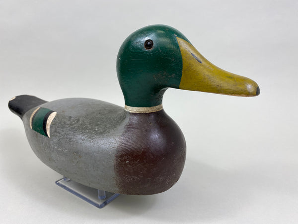 Lawrence Kolosso Mallard Drake (#8325)