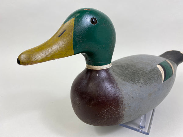 Lawrence Kolosso Mallard Drake (#8325)