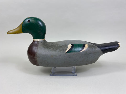 Lawrence Kolosso Mallard Drake (#8325)