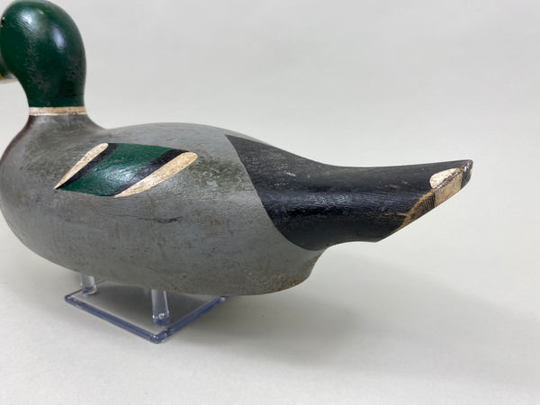 Lawrence Kolosso Mallard Drake (#8325)