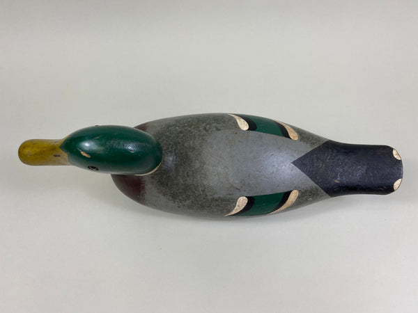 Lawrence Kolosso Mallard Drake (#8325)