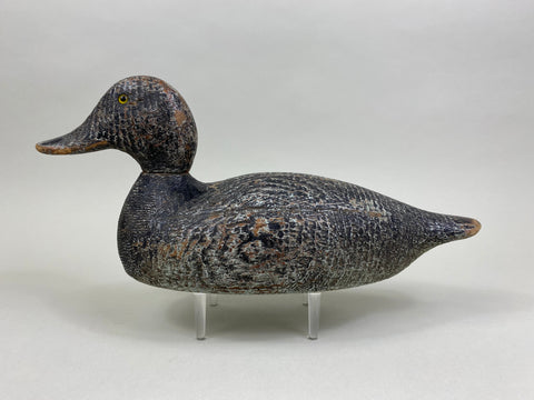 Evans Competitive Grade Bluebill (#8329)