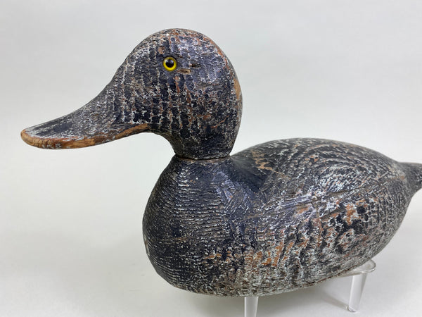 Evans Competitive Grade Bluebill (#8329)