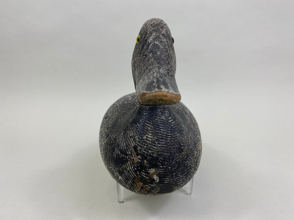 Evans Competitive Grade Bluebill (#8329)