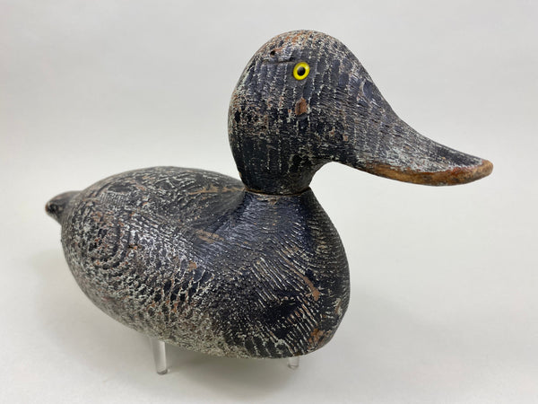 Evans Competitive Grade Bluebill (#8329)