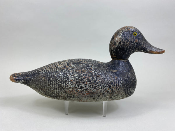 Evans Competitive Grade Bluebill (#8329)