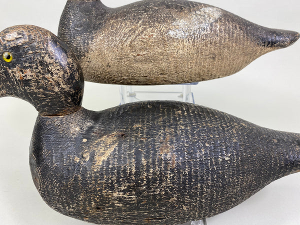 Evans Factory Competitive Grade Blue Bills, Original Paint (#8330)