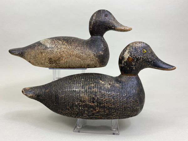 Evans Factory Competitive Grade Blue Bills, Original Paint (#8330)