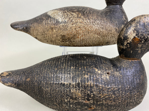 Evans Factory Competitive Grade Blue Bills, Original Paint (#8330)