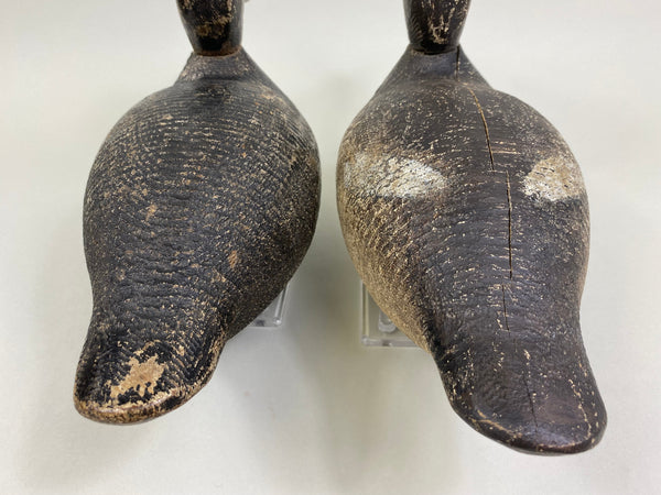 Evans Factory Competitive Grade Blue Bills, Original Paint (#8330)