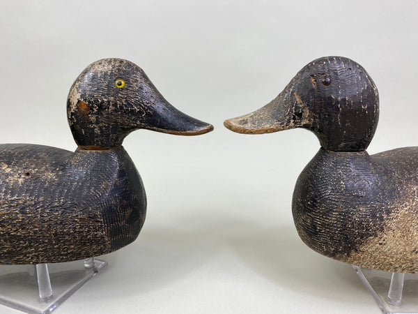 Evans Factory Competitive Grade Blue Bills, Original Paint (#8330)