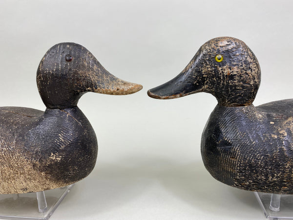 Evans Factory Competitive Grade Blue Bills, Original Paint (#8330)