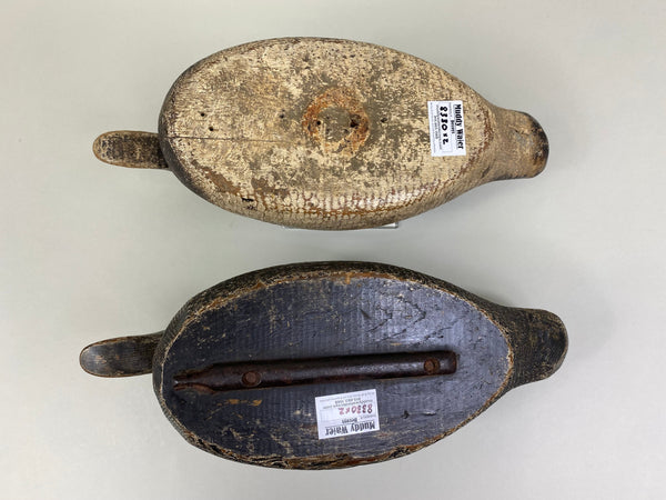 Evans Factory Competitive Grade Blue Bills, Original Paint (#8330)