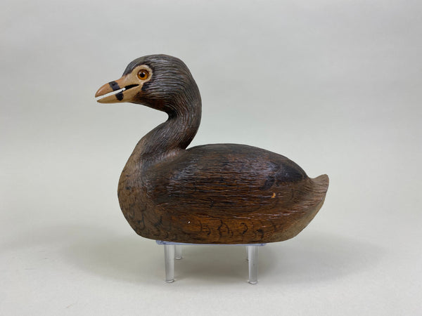Pied-Billed Grebe by Herman Bennett (#8341)