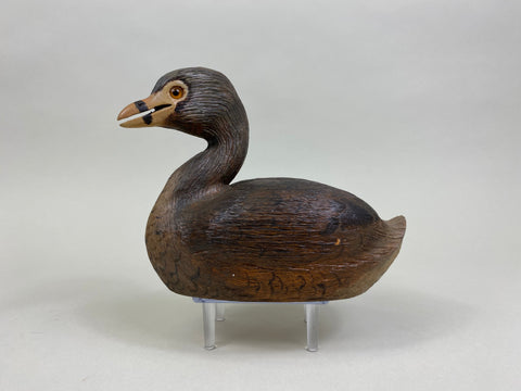 Pied-Billed Grebe by Herman Bennett (#8341)