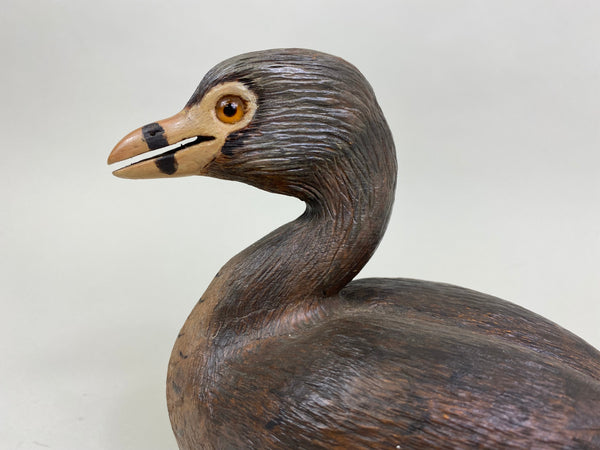 Pied-Billed Grebe by Herman Bennett (#8341)