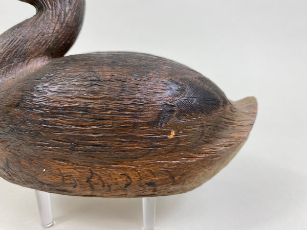 Pied-Billed Grebe by Herman Bennett (#8341)