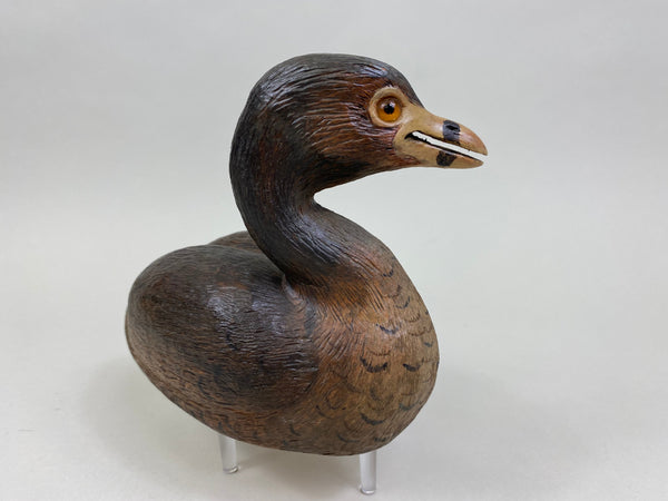 Pied-Billed Grebe by Herman Bennett (#8341)