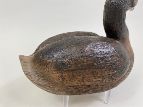 Pied-Billed Grebe by Herman Bennett (#8341)