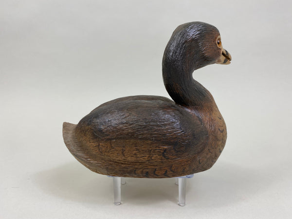 Pied-Billed Grebe by Herman Bennett (#8341)