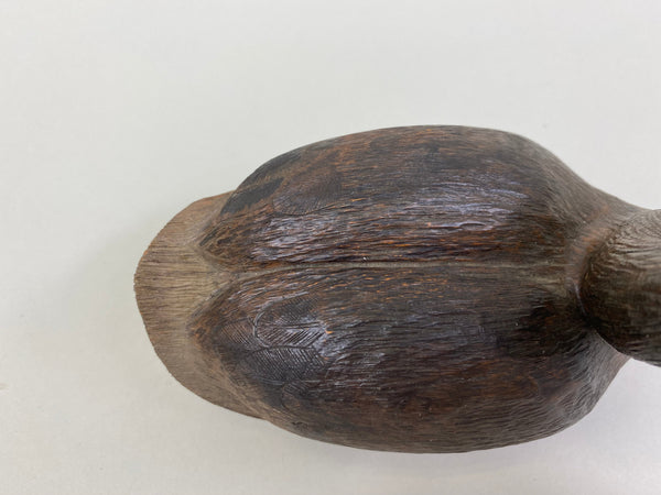 Pied-Billed Grebe by Herman Bennett (#8341)