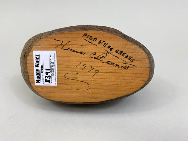 Pied-Billed Grebe by Herman Bennett (#8341)