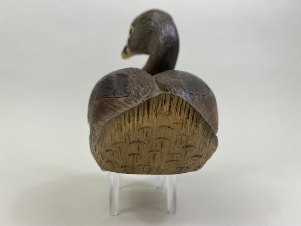 Pied-Billed Grebe by Herman Bennett (#8341)