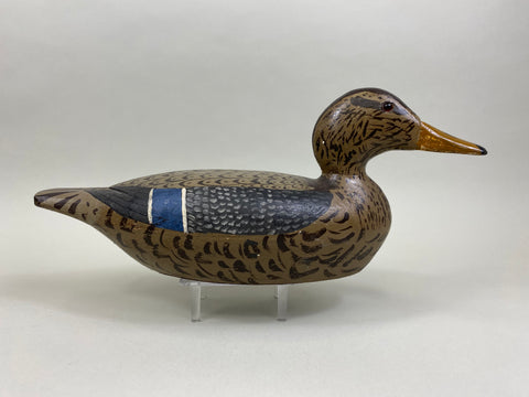 Gisler Weber Mallard Hen (#8347)