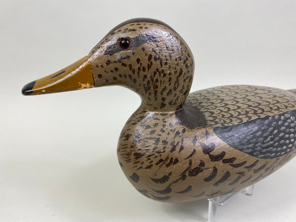 Gisler Weber Mallard Hen (#8347)