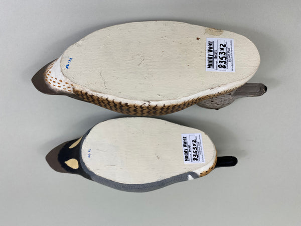 Frank Collins Pair of Green Wing Teal (#8353)