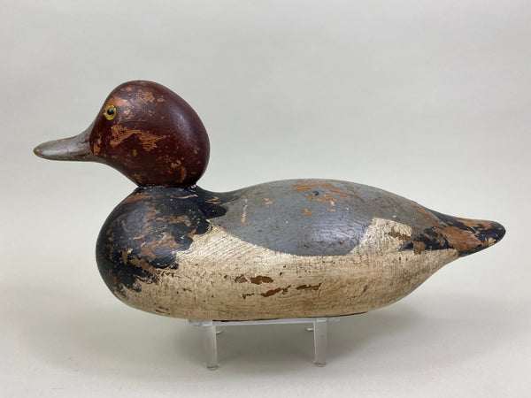 Mason Redhead Drake, Circa 1920's (#8378)