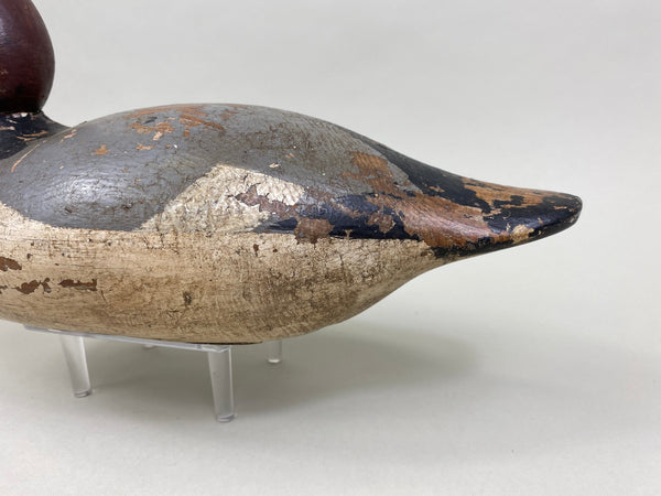 Mason Redhead Drake, Circa 1920's (#8378)