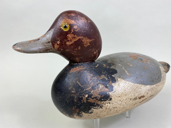 Mason Redhead Drake, Circa 1920's (#8378)