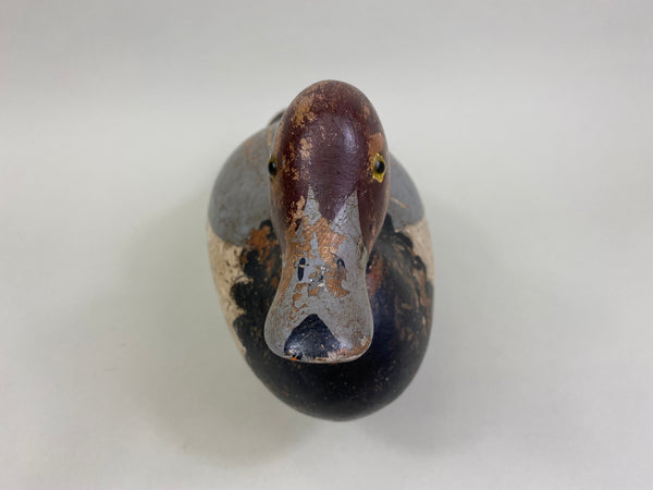 Mason Redhead Drake, Circa 1920's (#8378)