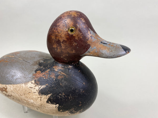 Mason Redhead Drake, Circa 1920's (#8378)