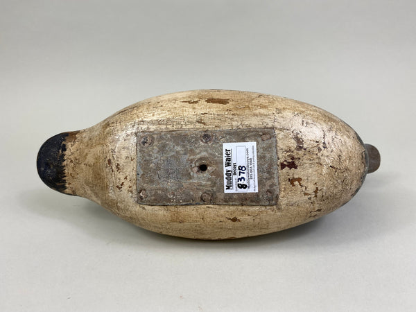 Mason Redhead Drake, Circa 1920's (#8378)