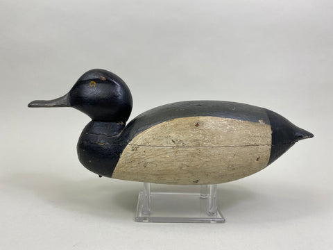 Unknown East Coast Bluebill (#8379)