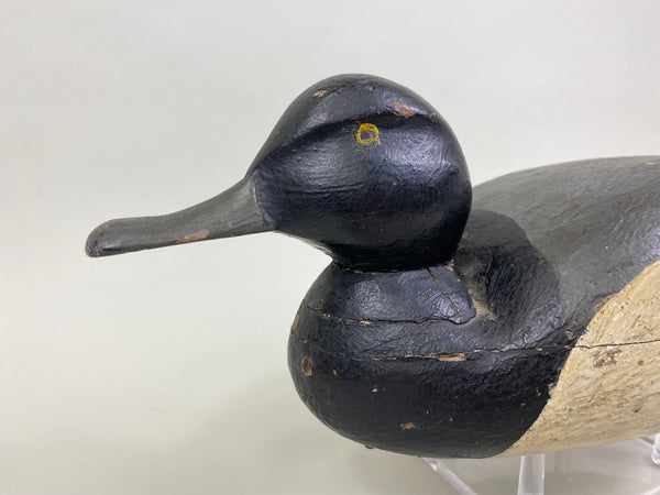 Unknown East Coast Bluebill (#8379)