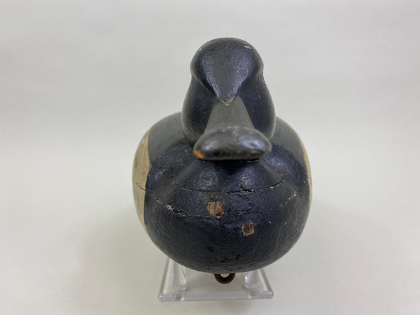 Unknown East Coast Bluebill (#8379)