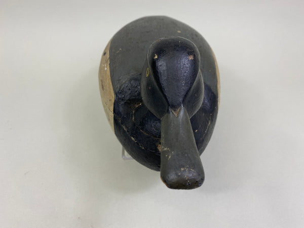 Unknown East Coast Bluebill (#8379)