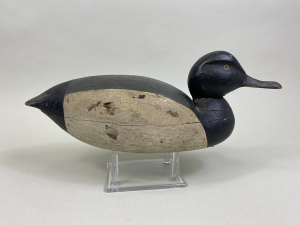 Unknown East Coast Bluebill (#8379)