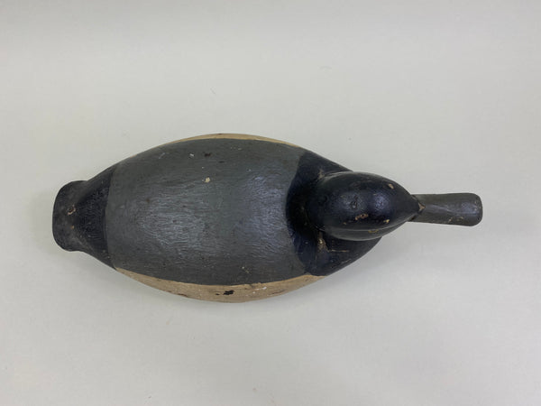 Unknown East Coast Bluebill (#8379)