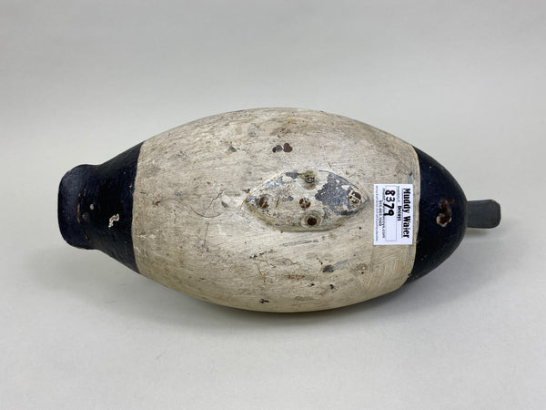 Unknown East Coast Bluebill (#8379)