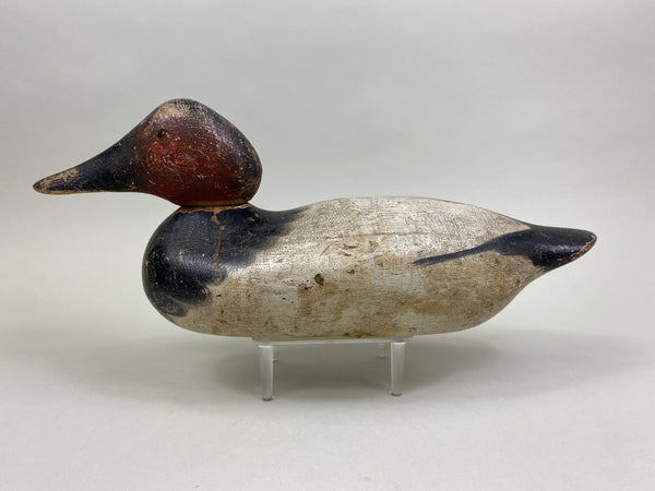 Mason Canvasback Drake Standard Grade 1920's (#8384)